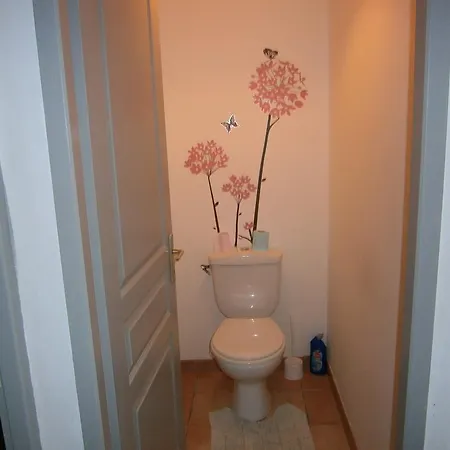 Apartamento La D'occitanie Carcasona